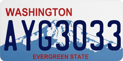 WA license plate AYG3033