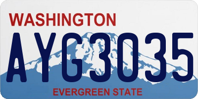 WA license plate AYG3035
