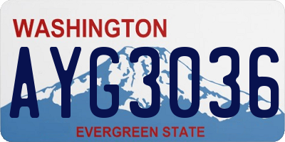 WA license plate AYG3036