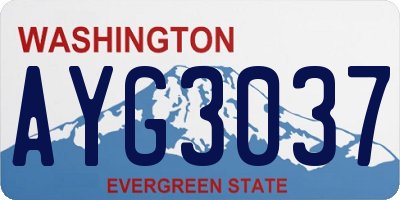 WA license plate AYG3037