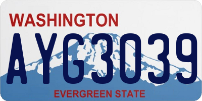 WA license plate AYG3039