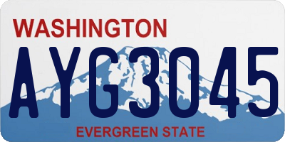 WA license plate AYG3045