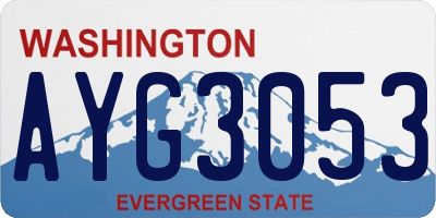 WA license plate AYG3053