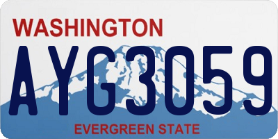 WA license plate AYG3059