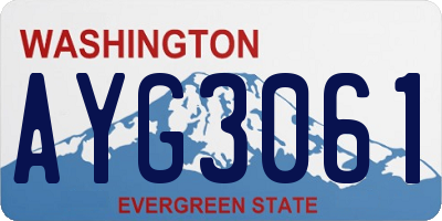 WA license plate AYG3061