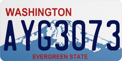 WA license plate AYG3073