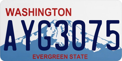 WA license plate AYG3075