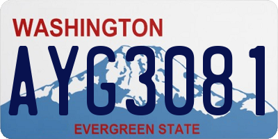WA license plate AYG3081