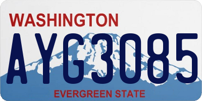 WA license plate AYG3085