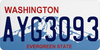 WA license plate AYG3093