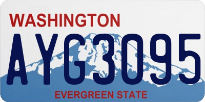 WA license plate AYG3095
