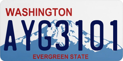 WA license plate AYG3101