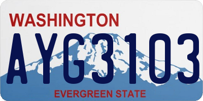 WA license plate AYG3103