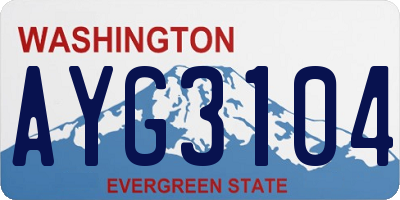 WA license plate AYG3104