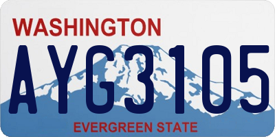 WA license plate AYG3105