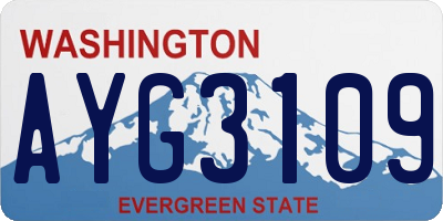 WA license plate AYG3109