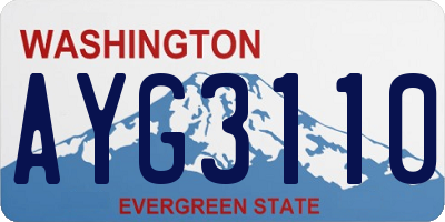 WA license plate AYG3110