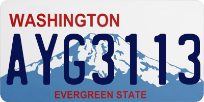 WA license plate AYG3113