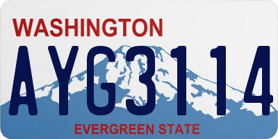WA license plate AYG3114