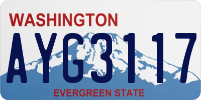WA license plate AYG3117