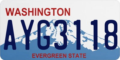 WA license plate AYG3118