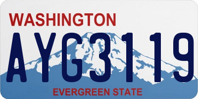 WA license plate AYG3119