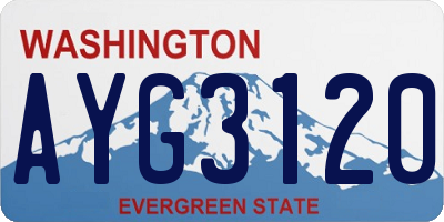 WA license plate AYG3120