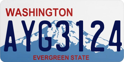 WA license plate AYG3124