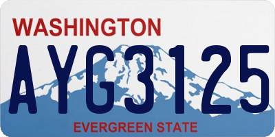 WA license plate AYG3125