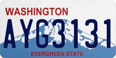 WA license plate AYG3131