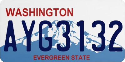 WA license plate AYG3132