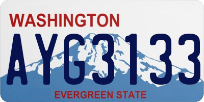 WA license plate AYG3133