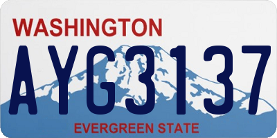 WA license plate AYG3137
