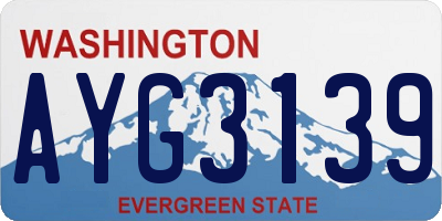 WA license plate AYG3139
