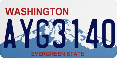 WA license plate AYG3140