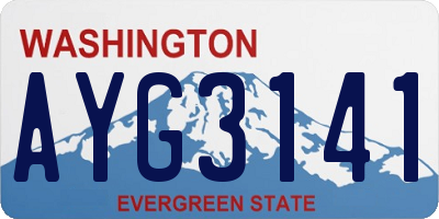 WA license plate AYG3141