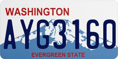 WA license plate AYG3160