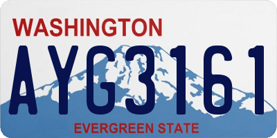 WA license plate AYG3161