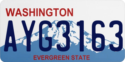 WA license plate AYG3163