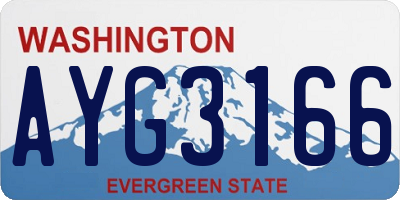 WA license plate AYG3166