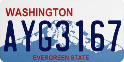 WA license plate AYG3167