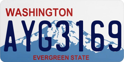 WA license plate AYG3169