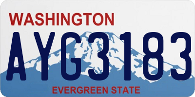WA license plate AYG3183