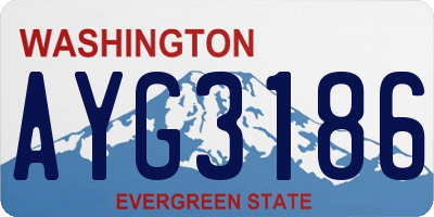 WA license plate AYG3186