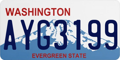 WA license plate AYG3199