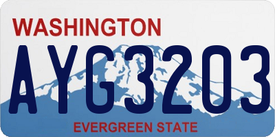 WA license plate AYG3203