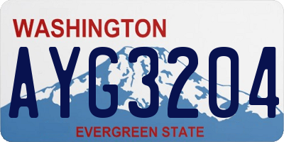 WA license plate AYG3204