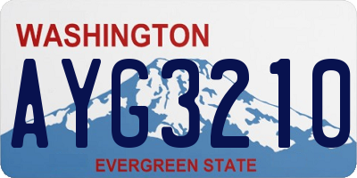WA license plate AYG3210