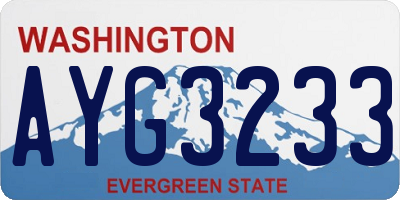 WA license plate AYG3233