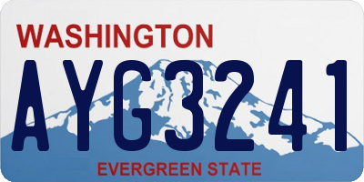 WA license plate AYG3241